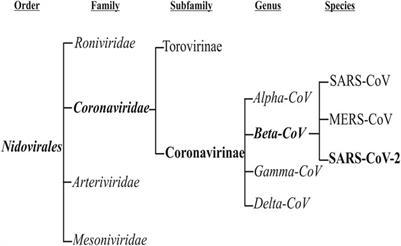 An Overview of the Epidemiologic, Diagnostic and Treatment Approaches of COVID-19: What do We Know?